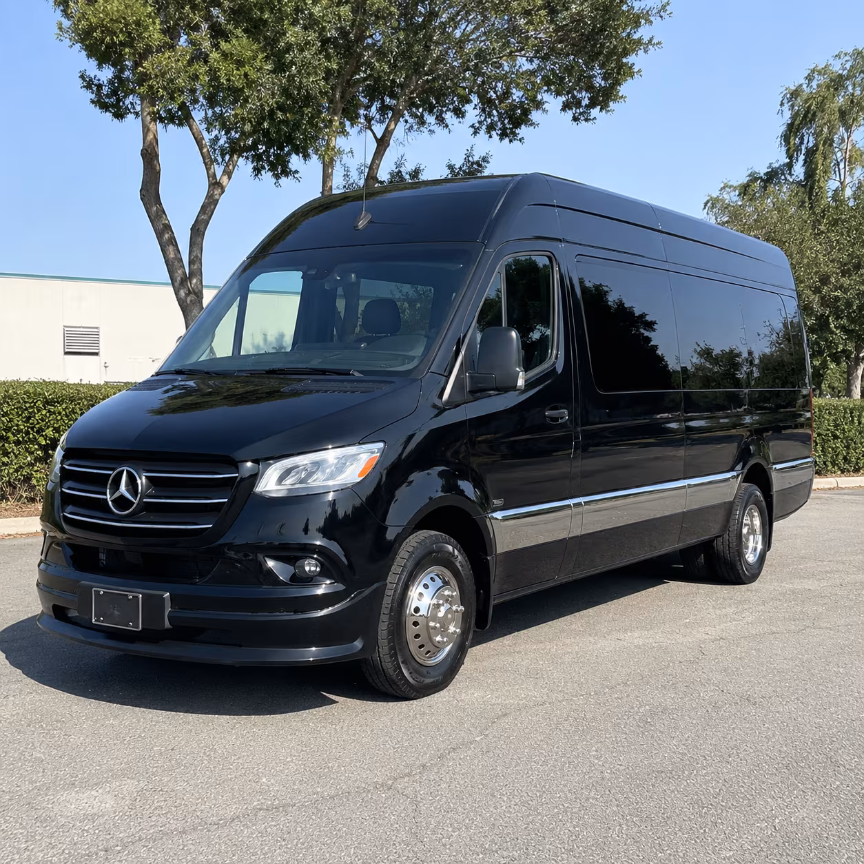 sprinter vans and minibuses for fort collins executive and team travel